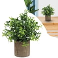 thumbnail image 1 of 1PC Artificial Potted Plants, Realistic Faux Greenery in Cement Pots for Home Office Desk Bookshelf Decor, Small Fake Plants for Indoor Tabletop Decoration, 1 of 9