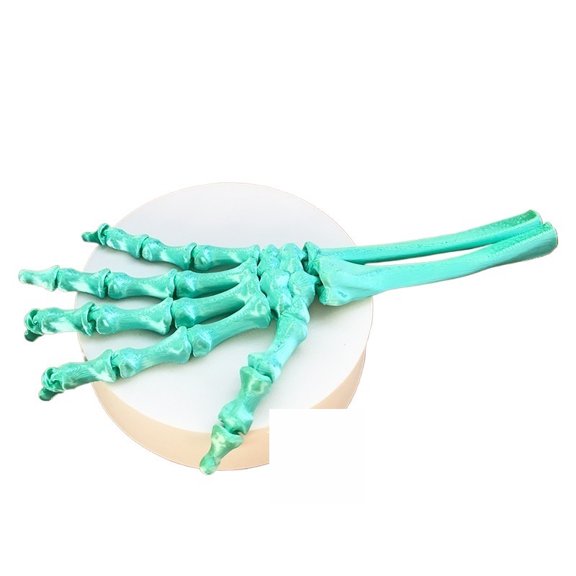 1PC Cyan Green 18.5CM Creative prank skull hand with movable joints, new Halloween decoration