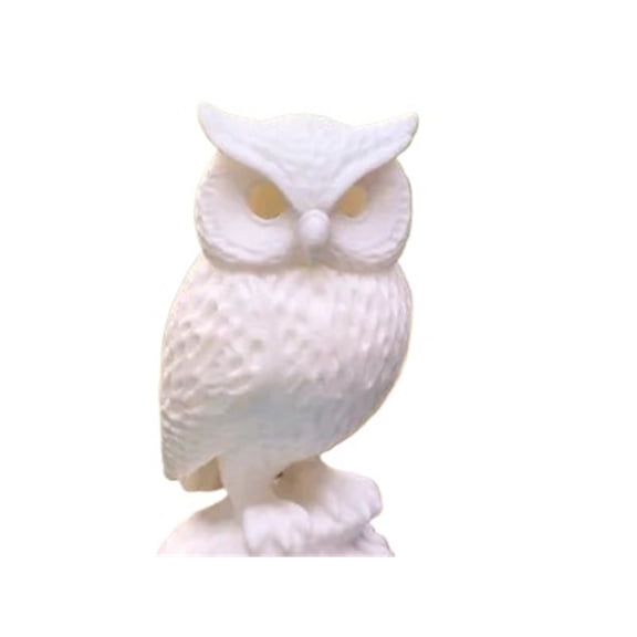 1PC Detailed Owl  Elegant Home Decor 3D Print