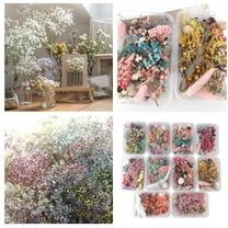 1PC Dried Pressed Flowers for Resin Natural Fall Dried Flowers with Tweezer Real Dried Pressed Flowers for Christmas Crafts Scrapbooking DIY Art Jewelry Nail Making Candle Soap Decor