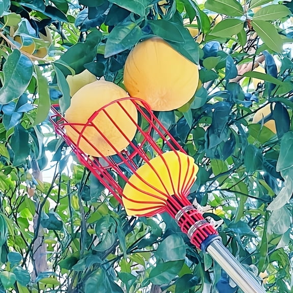 1PC Fruit Picker Tool with Basket, Adjustable Telescopic Fruit Picking Pole, Fruit Catcher Harvester for Mango, Lemon, Orange & Apple Trees, Easy Reach Garden Picking Tool