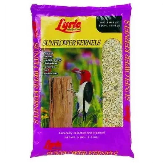 1PC Lyric 2647431 5 Pound Sunflower Kernels