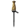1PC Meerkat Garden Ornament Solar Powered Water Proof Light Solar