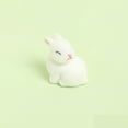 thumbnail image 1 of 1PC Mini Flocked Easter Bunny Decorations, Cute Mini Easter Bunny Figures, Miniature Rabbit for Landscape Ornaments, Party Favors Gifts Home Office Table Decor, 1 of 6