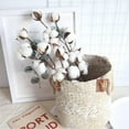 thumbnail image 1 of 1PC Naturally Dried Cotton Stems Farmhouse Artificial Flower Filler Floral Decor, 1 of 9