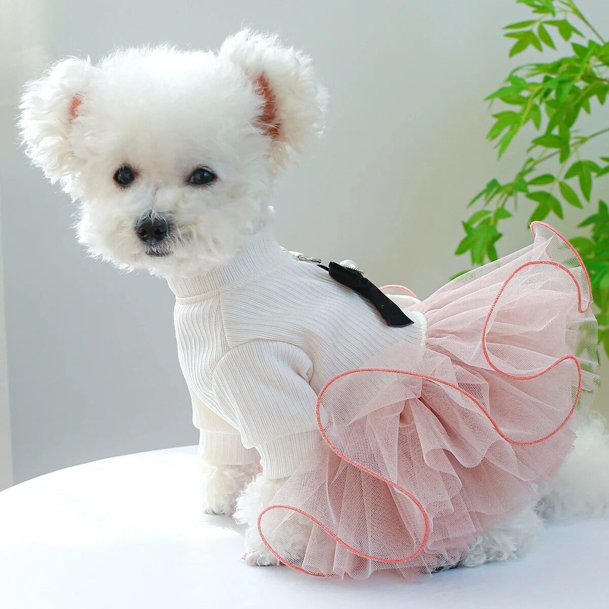 Andmary Doggy fur tops pink タグ付き Andmary Doggy fur tops pink タグ付き