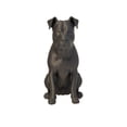 thumbnail image 1 of 1PC Pitbull-3D Printing Dog Sculpture 3D Printing, 1 of 1