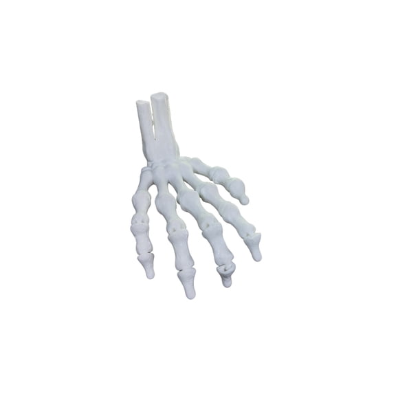1PC Right Hand Skeleton 21CM Halloween skull claw horror figurine, plastic ghost hand bone decoration