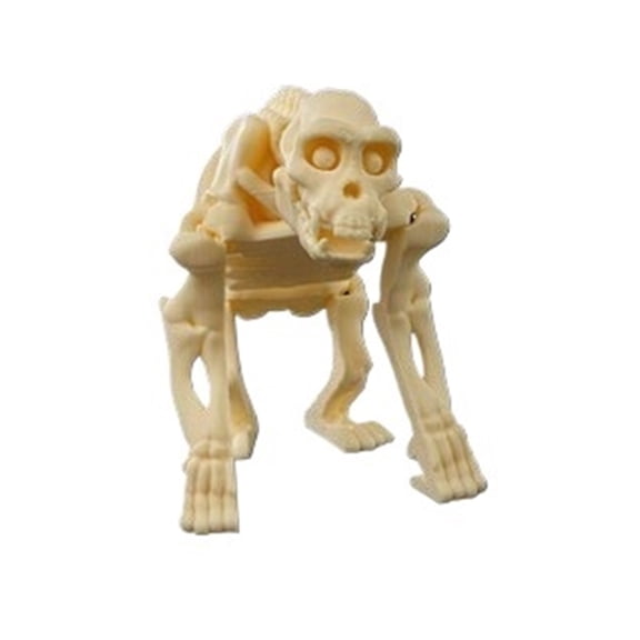 1PC Skeleton Chimpanzee 3D Printing