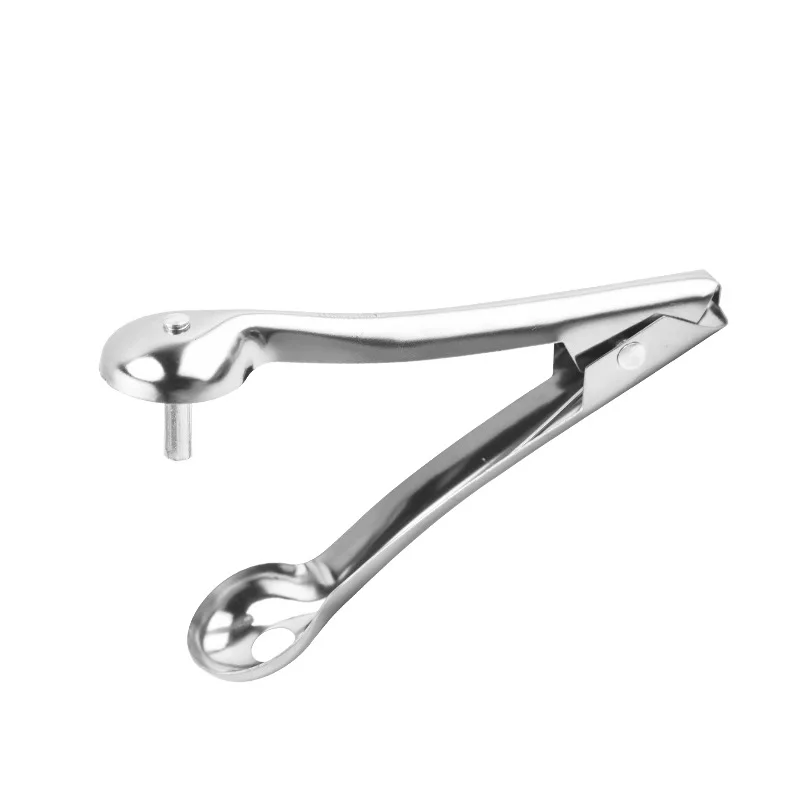 1PC Stainless Steel Jujube Corer Hawthorn Corer Household Cherry ...