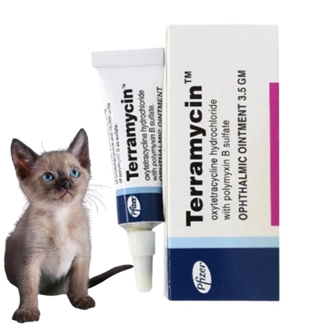 1PC Terramycin Antibiotic Ointment for Eye Infection Treatment in Dogs