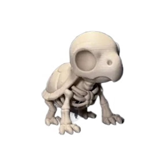 1PC Turtle Skeleton! 3D printing