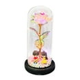 1PC Valentine's Day LED GlowInTheDark Glass Cover Rose Is A Unique