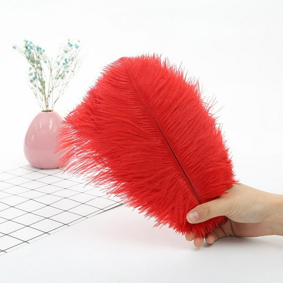 1PC Vibrant Color Feathers 7.9"/9.8" for Wall Decor, Stage Props Party DIY Craft Decoration, Orange Feathers (36 Pieces Pack),Red 2