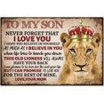 thumbnail image 1 of 1PC Vintage Metal Tin Sign Iron Wall Decor for Bars Restaurants Cafes Pubs Rectangle Lion 300x200x0.5mm, 1 of 9