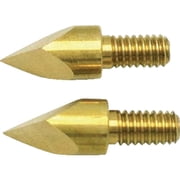 Wall Lenk WB25KT All-Purpose Woodburning Tips - pack of 2