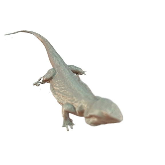 1PC bearded dragon. 3D scanning. 3D printing