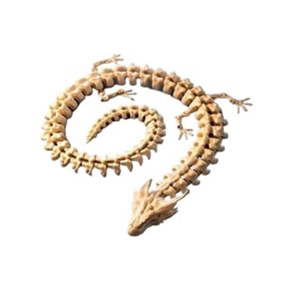 1PC bone dragon 3D printing with movable joints