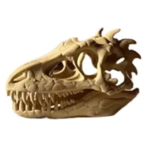 1PC dinosaur skull fossil 3D printing