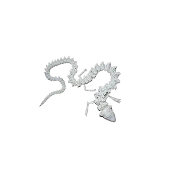 1PC large movable skeleton dragon 3D printing