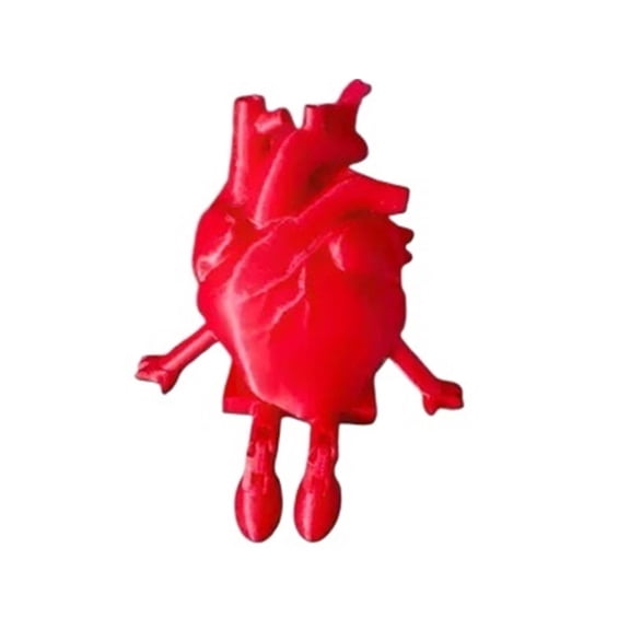 1PC movable joint anatomical heart model 3D printing gift