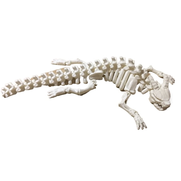 1PC movable skeleton dragon (without wings) V2 3D printing