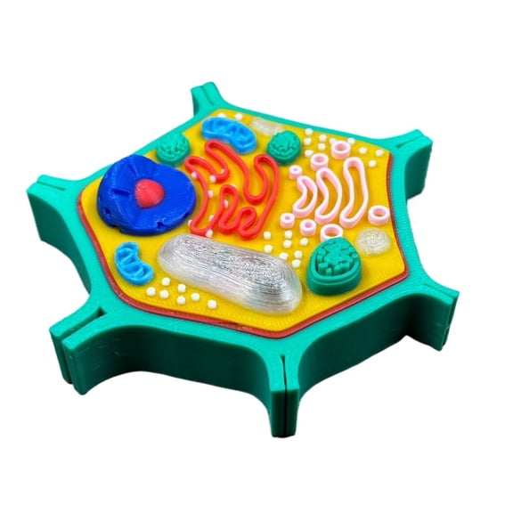 1PC plant cell 3D printing
