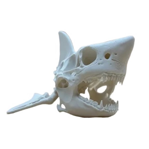 1PC scary shark skull 3D printing
