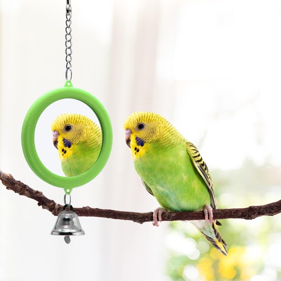 1PCS/2PCS Bird Mirror with Bell Parrot Hanging Interactive Playing Toy for Cockatiel Parakeets Canaries Budgie Cage Accessories