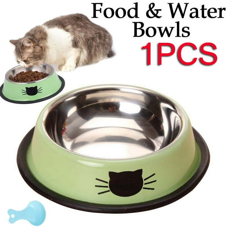Non spill cat bowl sale