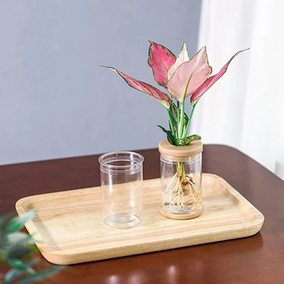 1PCS Clear Flower Pot For Grow Small Potted Plants A Smile Home