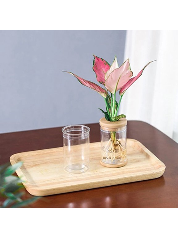 1PCS Clear Flower Pot For Grow Small Potted Plants A Smile Home