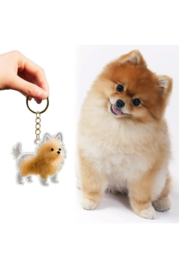1PCS Fun Dog and Cat Hair Collector Keychain Charm Memorial Storage Box,Cute Pet Hair Memorial Keepsake,CreativeGifts for Dog Lovers