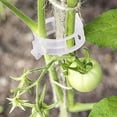 thumbnail image 1 of 1PCS Garden Clips for Climbing â Trellis Support Clips for Tomatoes, Grapes, Cucumbers & Vegetables â Reusable Clips to Grow Upright â Secure & Gentle Vine Clips, 1 of 9