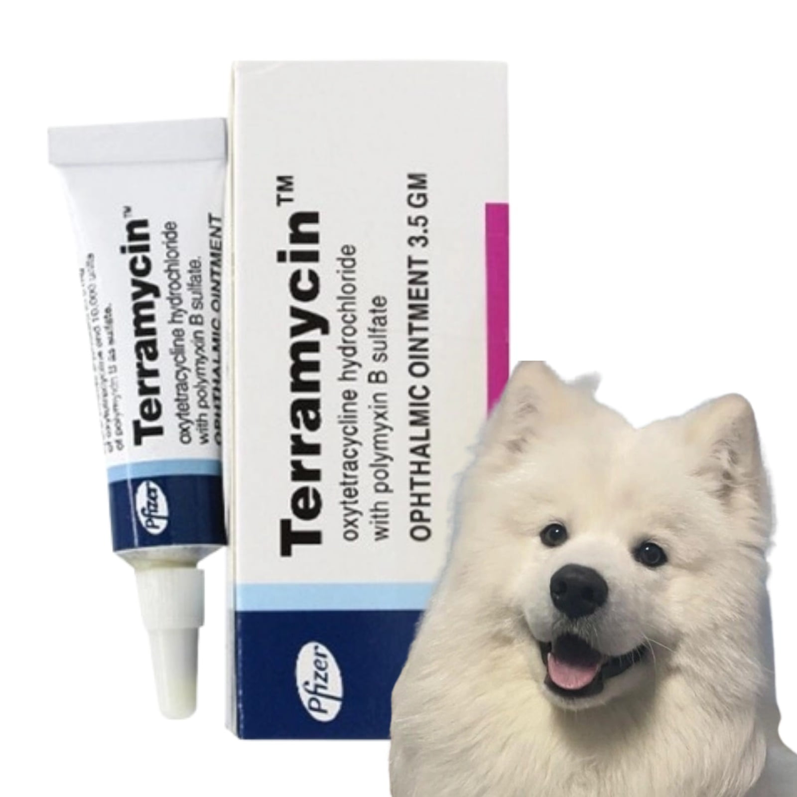 1PCS Terramycin Antibiotic Ointment for Eye Infection Treatment in Dogs