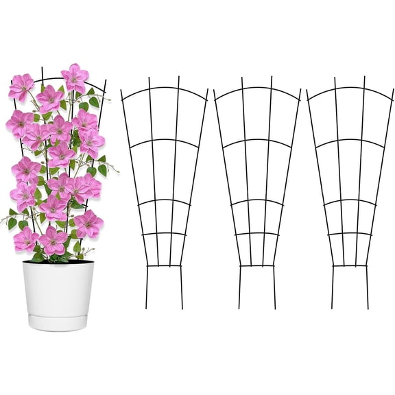 1Pack 15.7'' Metal Plant Trellis Indoor/Outdoor, Fan Shape, Stainless Steel, Modern Style, Easy Assembly