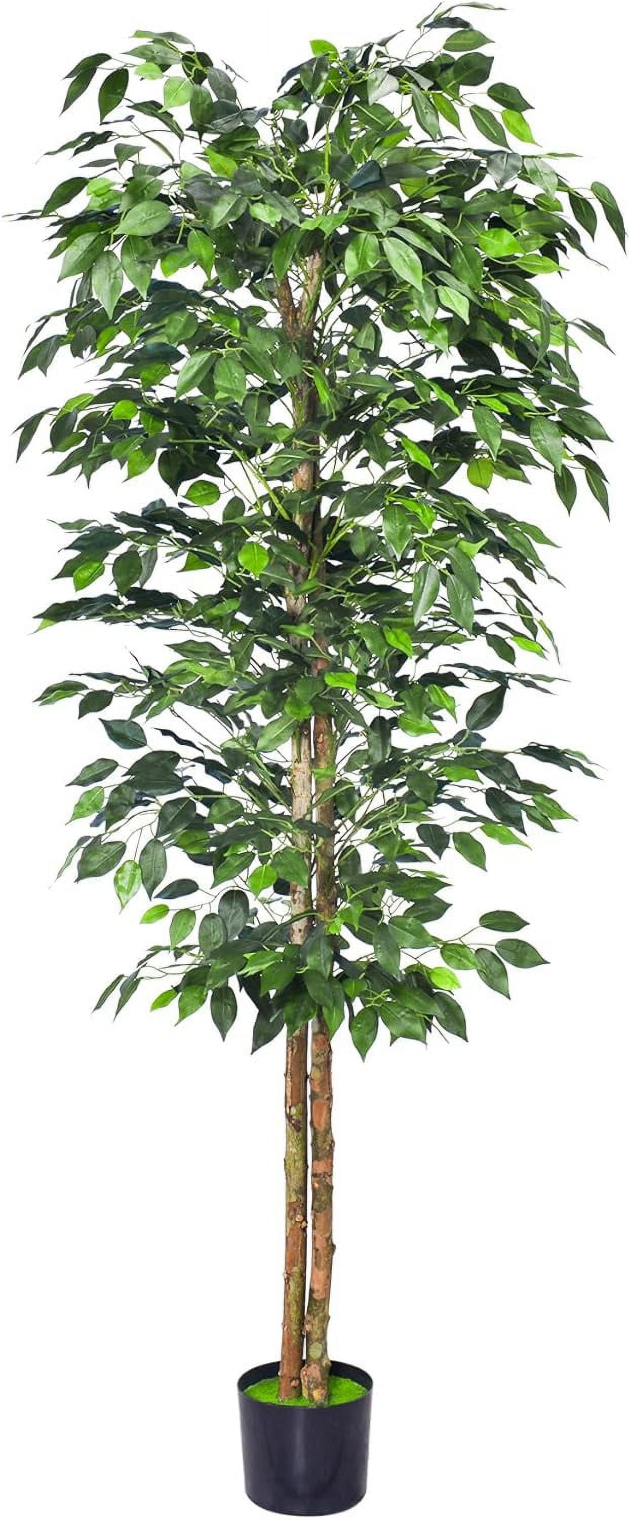 1Pack 6FT Artificial Ficus Tree with Realistic Leaves and Natural Trunk