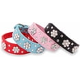 thumbnail image 1 of 1Pack Cute PU Leather Adjustable Puppy or cat Collar, Rhinestone Flower Pattern Studded Girl Dog or cat Collar - Pink, Red, Blue, Black for Small to Medium Dogs or Cats, 1 of 6
