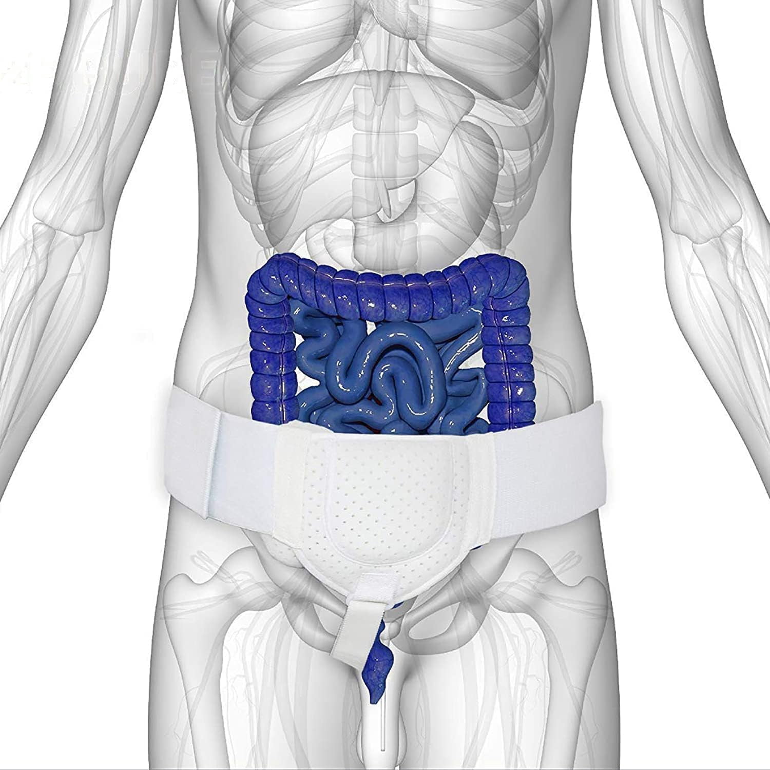 1Pack Post Surgery Inguinal Hernia Support Truss for Inguinal,Adjustable Medical Hernia Guard,Inguinal Hernia Belt