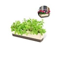 thumbnail image 1 of 1Pack Self Watering Planter Pot,12x3.8x4.6In Resuable Window Box Planter for Home,QZS Rectangle Vegetable Box with Tray for Patio,Garden, 1 of 6
