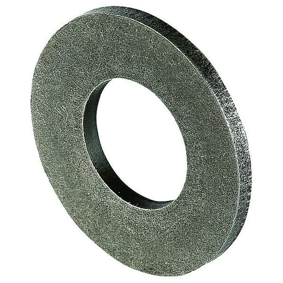 1Pack ZoroSelect 1NEB8 Disc Spring, Belleville, 0.25,302 SS, PK12