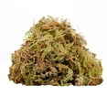 thumbnail image 1 of 1Pack of 100g Sphagnum Moss, Reptile Habitat Sphagnum Moss Great Potting Mix for Indoor Plants, Help with Maintain Humidity, 1 of 9
