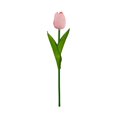 thumbnail image 1 of 1Pc Artificial Flowers Fake Tulip, Multicolored Tulip for Spring Indoor Table Cnterpiece Wedding Decorations Mother's Day Easter Gifts, Simulation Tulip Bouquet Floral Decor(Pink,13.4x1"), 1 of 9