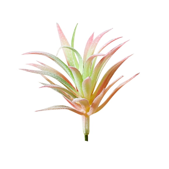 1Pc Artificial Succulent Plant Garden Lifelike DIY Home Office Bonsai Decoration