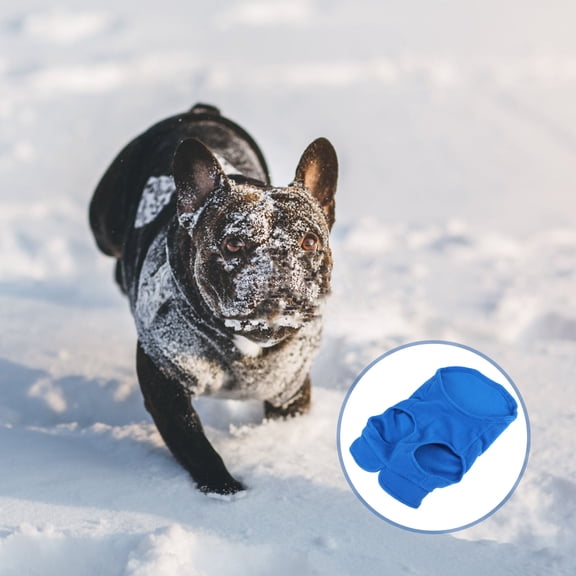 1Pc Blue Pet Hoodie Chic Design Comfortable Winter Dogs Coat for Pets