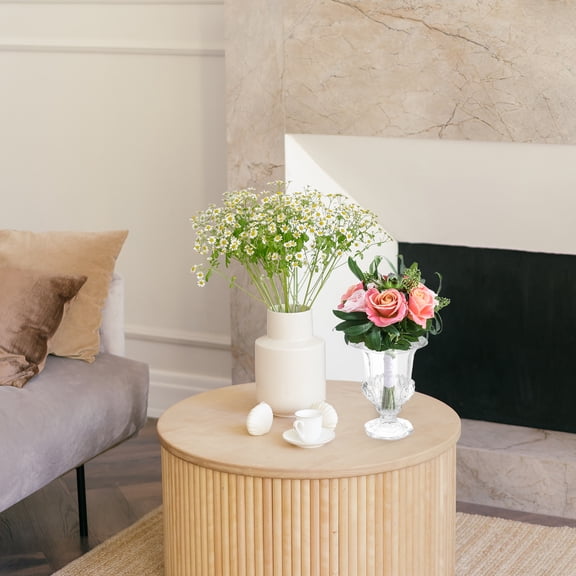 PENIKOKO Crystal Glass Fruit Platter Fruit Plate for Dining Table Storage 1 Pc Elegant Design