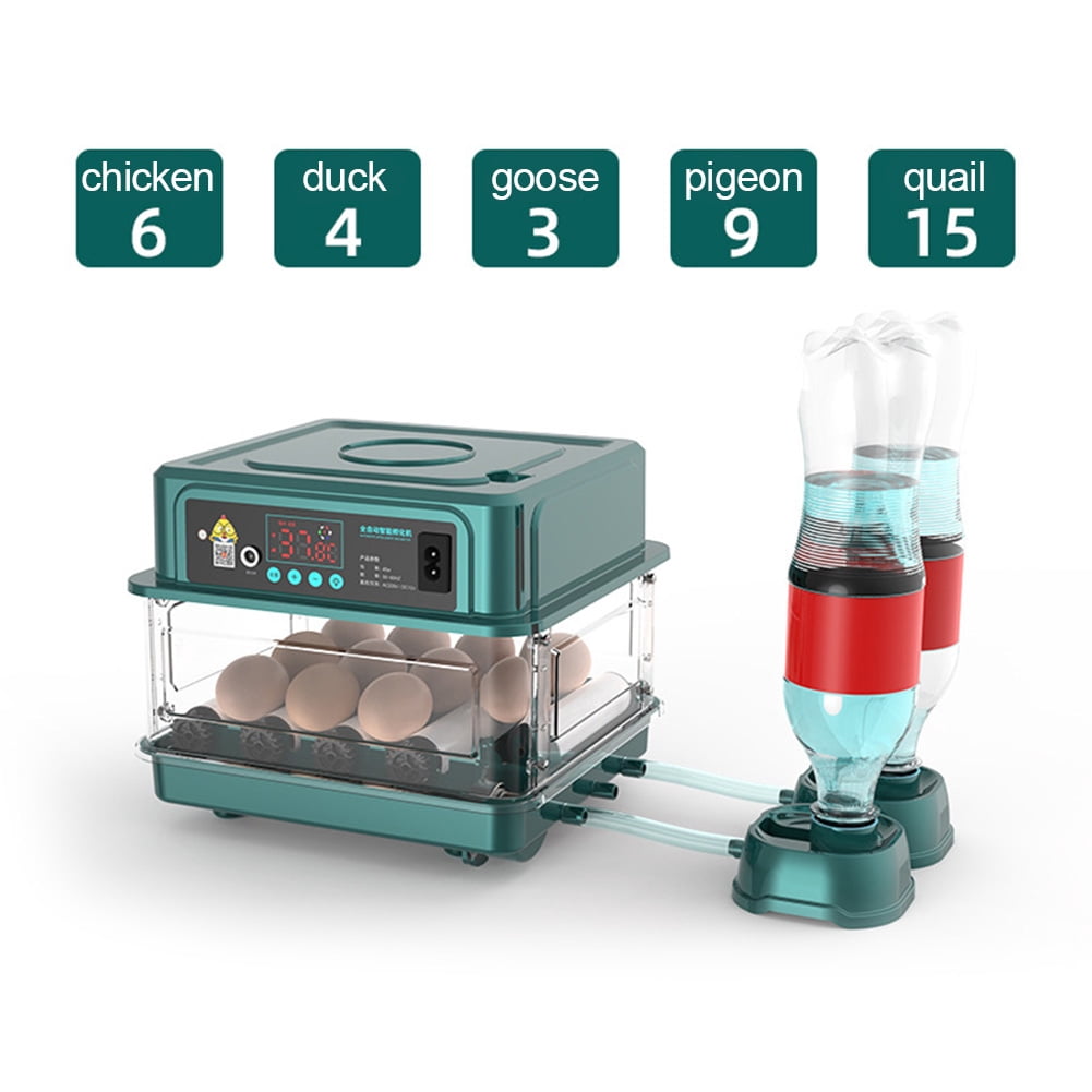 Brooder Tools 1Pc Egg Incubator Fully Automatic Turning Hatching Brooder Farm Bird ...