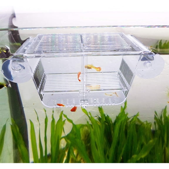 1Pc Fish Breeding Box, Acrylic Fish Isolation Box with Suction Cups, Aquarium Acclimation Hatchery Incubator for Baby Fishes Shrimp Clownfish and Guppy