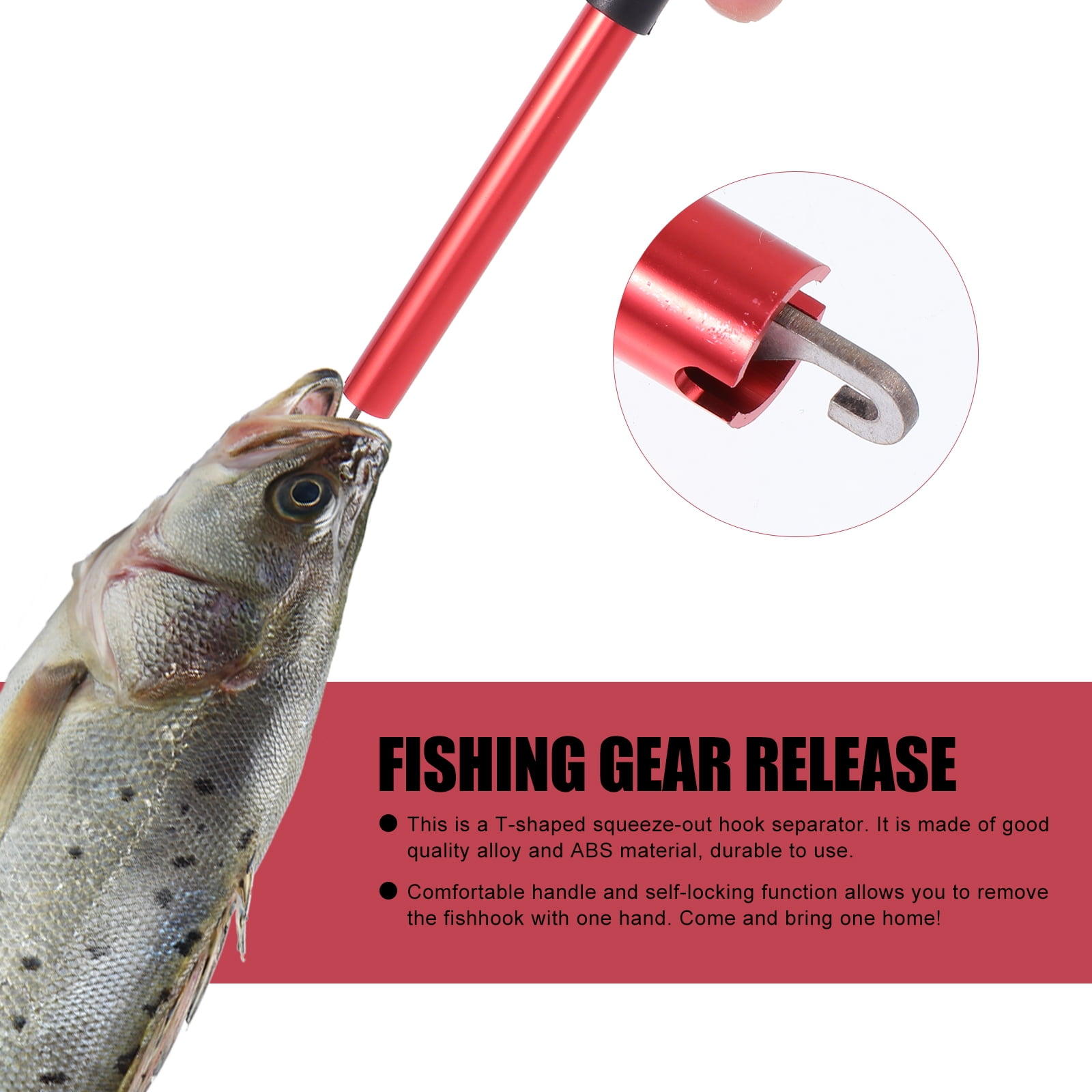 Hook Removal  NEVER Fish Without this Tool🧰🎣 