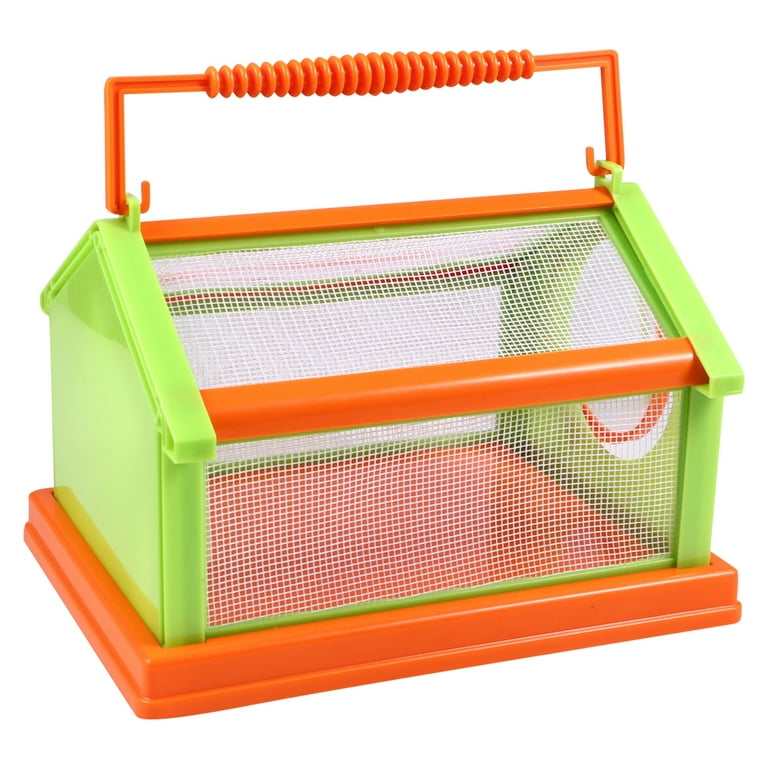 Insect Bug Box Kit Viewer Container Small Animal Magnifying Cage